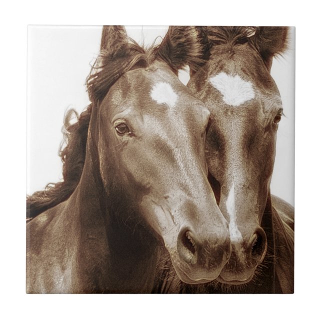 Horse Porträtt III Kakelplatta (Framsidan)