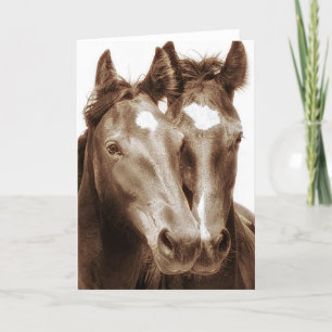 Horse Porträtt III Kort