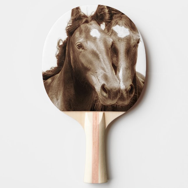 Horse Porträtt III Pingisracket (Framsidan)