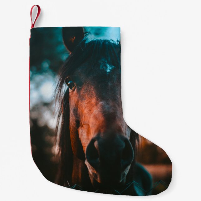 HORSE PORTRÄTT LITEN JULSTRUMPA (Framsidan)