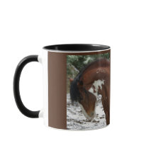 Horse Porträtt med Namn