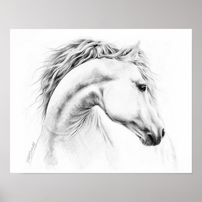 Horse porträtt Pencil teckning Equestrian art Poster (Framsidan)