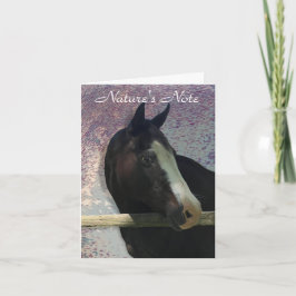 HORSE PORTRÄTT PHOTO ANIMAL NOTE CARD ANTECKNINGSKORT