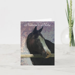 HORSE PORTRÄTT PHOTO ANIMAL NOTE CARD ANTECKNINGSKORT