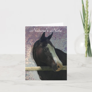 HORSE PORTRÄTT PHOTO ANIMAL NOTE CARD ANTECKNINGSKORT