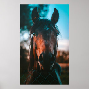 HORSE PORTRÄTT POSTER