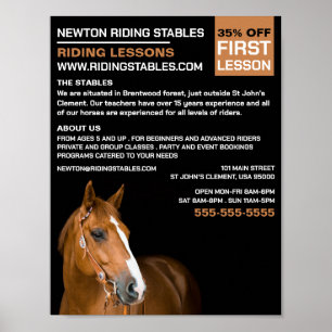 Horse Porträtt, Riding Instructor, Akademy Poster