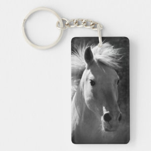 Horse Porträtt V