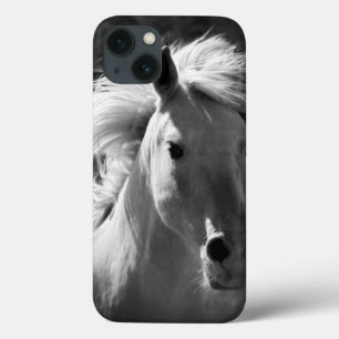 Horse Porträtt V