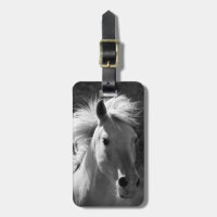 Horse Porträtt V