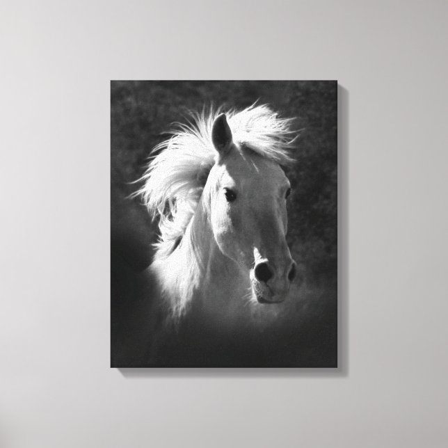 Horse Porträtt V Canvastryck (Framsida)