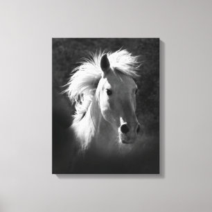 Horse Porträtt V Canvastryck