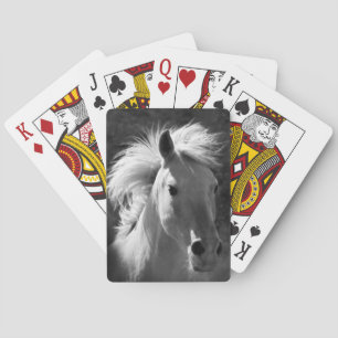 Horse Porträtt V Casinokort