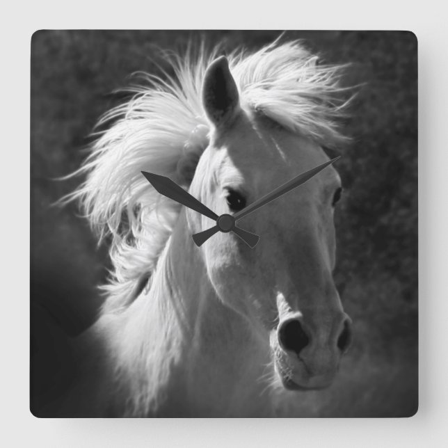 Horse Porträtt V Fyrkantig Klocka (Framsida)