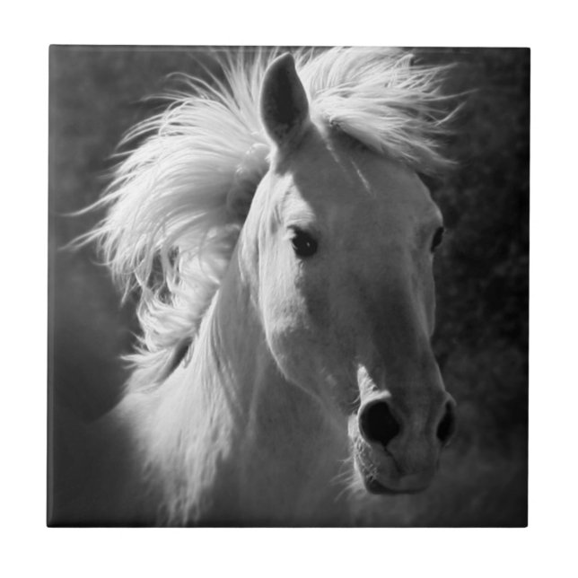 Horse Porträtt V Kakelplatta (Framsidan)