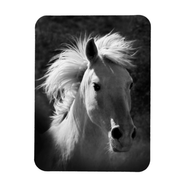 Horse Porträtt V Magnet (Vertikal)