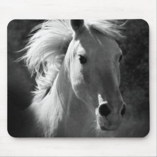 Horse Porträtt V Musmatta