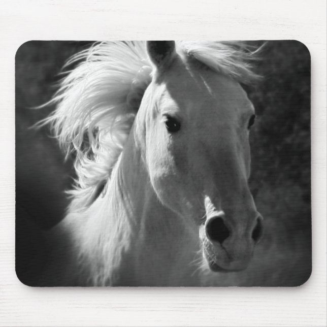 Horse Porträtt V Musmatta (Framsidan)