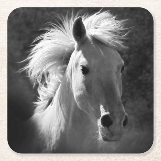 Horse Porträtt V Underlägg Papper Kvadrat (Framsidan)