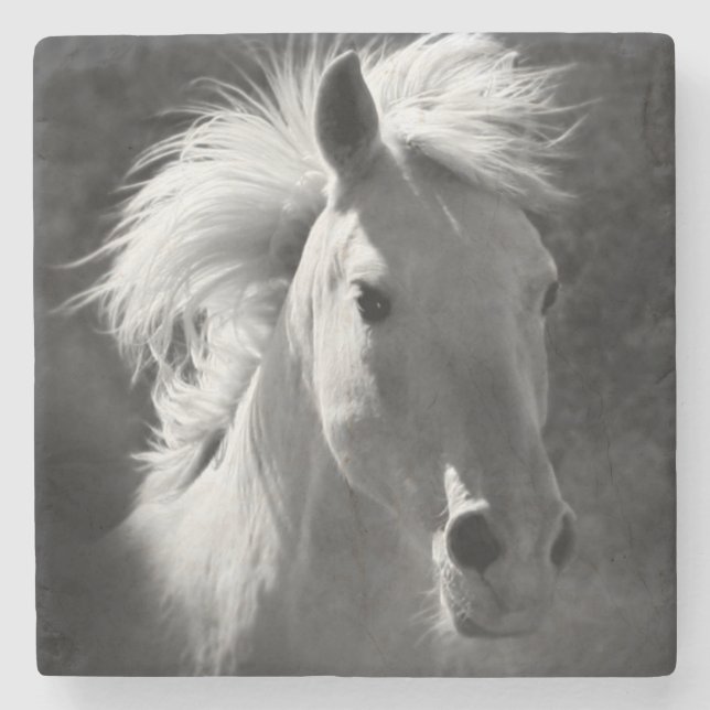 Horse Porträtt V Underlägg Sten (Framsidan)