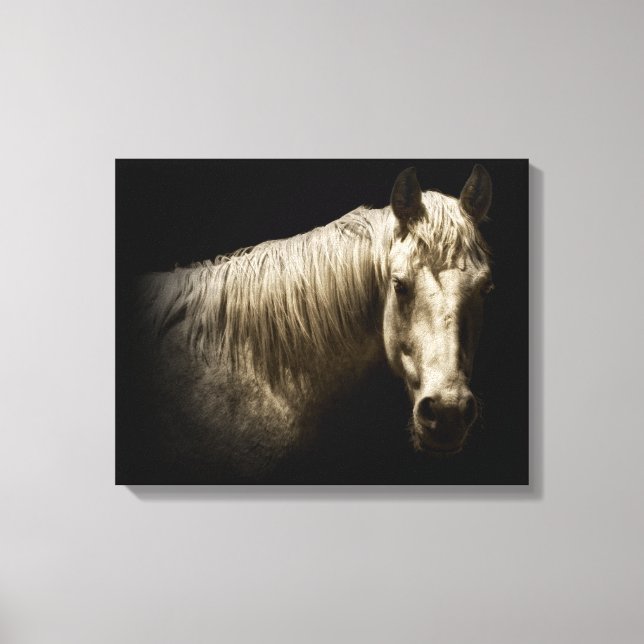 Horse Porträtt VI Canvastryck (Framsida)