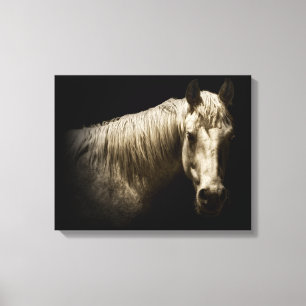 Horse Porträtt VI Canvastryck