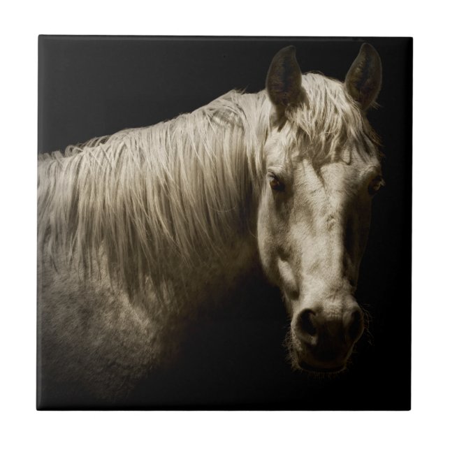 Horse Porträtt VI Kakelplatta (Framsidan)