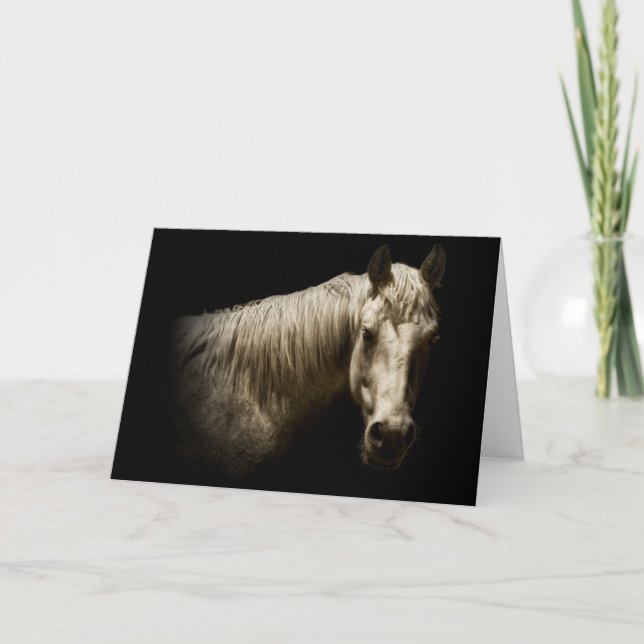 Horse Porträtt VI Kort (Framsida)