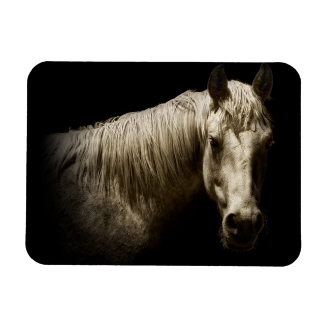 Horse Porträtt VI Magnet (Horisontell)