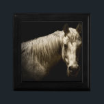 Horse Porträtt VI Minnesask<br><div class="desc">Djur</div>