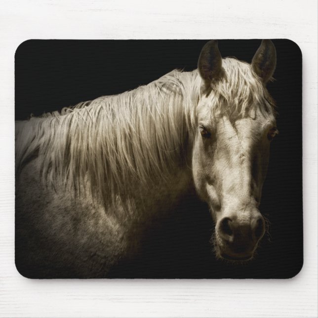 Horse Porträtt VI Musmatta (Framsidan)