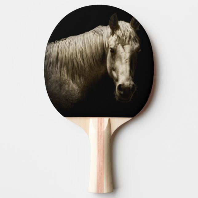 Horse Porträtt VI Pingisracket (Framsidan)