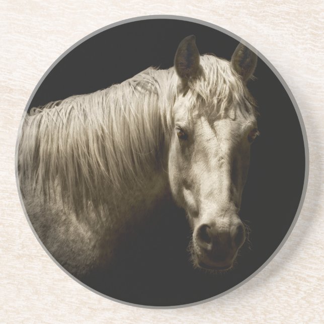Horse Porträtt VI Underlägg (Framsidan)