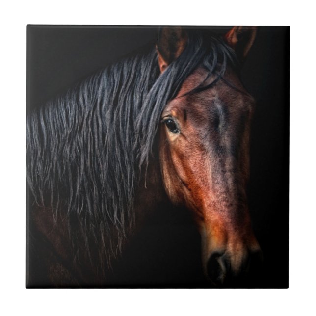 Horse Porträtt VII Kakelplatta (Framsidan)