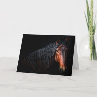 Horse Porträtt VII