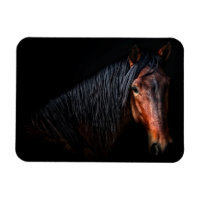 Horse Porträtt VII