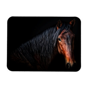 Horse Porträtt VII Magnet