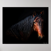 Horse Porträtt VII