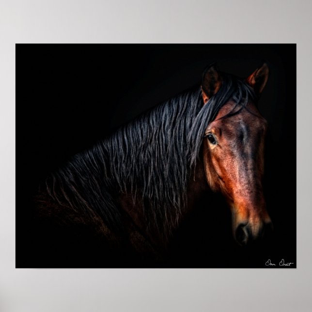 Horse Porträtt VII Poster (Framsidan)