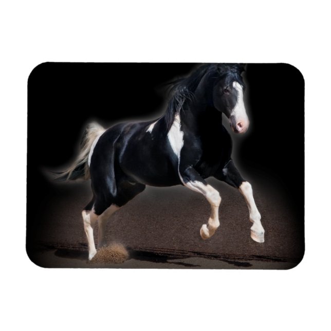 Horse Porträtt VIII Magnet (Horisontell)