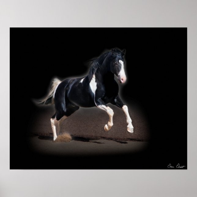 Horse Porträtt VIII Poster (Framsidan)