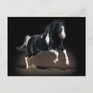 Horse Porträtt VIII Vykort