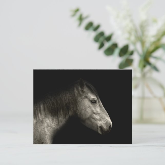 Horse porträtt vykort (Stående Fram)