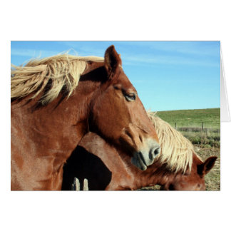 Horse Portriat Hälsningskort