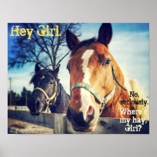 Horse Poster: "Hej Girl." Poster