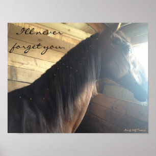 Horse poster: "Jag glömmer aldrig dig." Poster