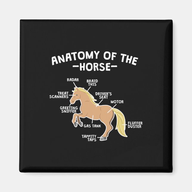 Horse Pun Anatomy of Horse  Equest Magnet (Framsidan)