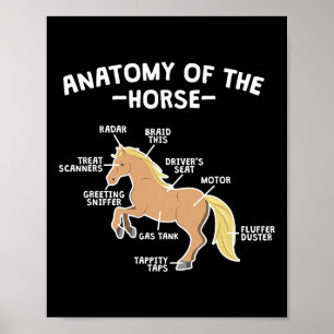 Horse Pun Anatomy of Horse Equest Poster
