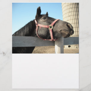 Horse/Ranch/Barn