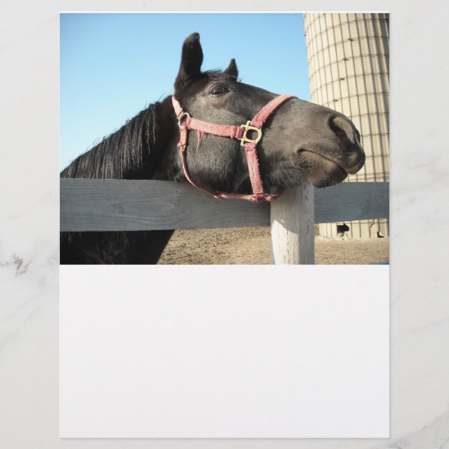 Horse/Ranch/Barn (Framsida)